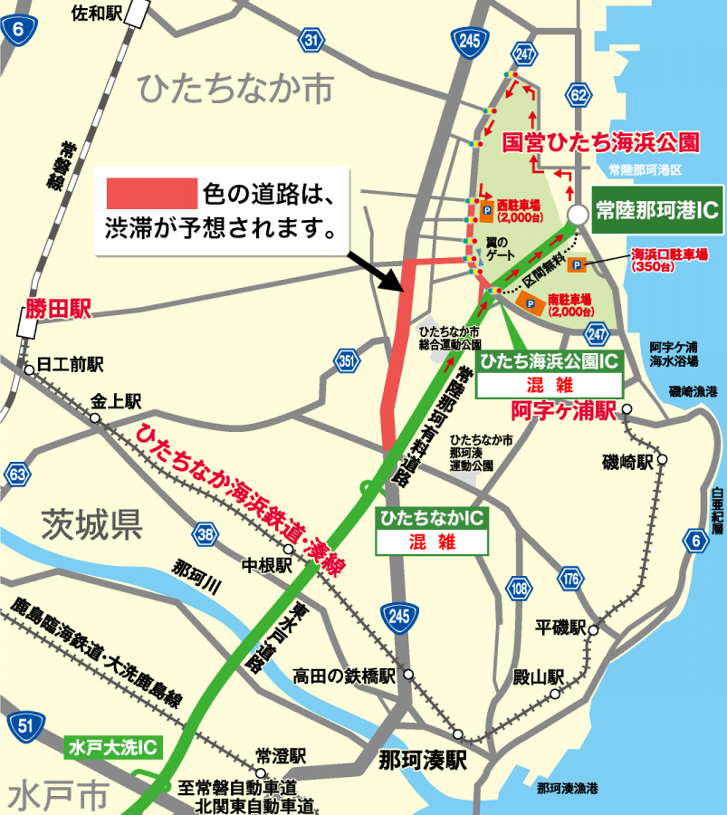 ひたち海浜公園のネモフィラ19の開花状況や見頃は 混雑状況や駐車場も All Season